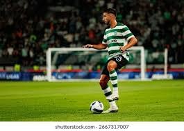 news-topic-structure